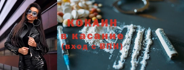 шишки Аркадак