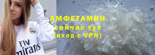 шишки Аркадак