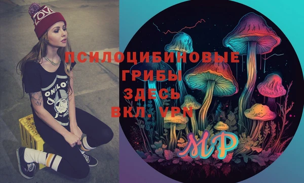 шишки Аркадак