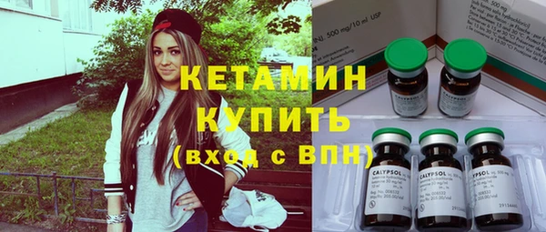 шишки Аркадак