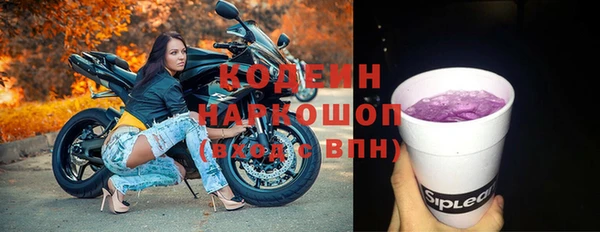 шишки Аркадак