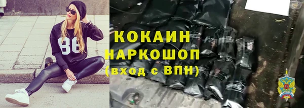 шишки Аркадак