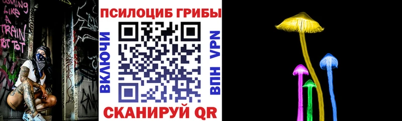 Галлюциногенные грибы Psilocybe Владивосток